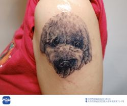 -MDZ STORE·TATTOO·耳饰