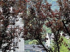 -杭州半山国家森林公园