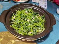 -古道村落(温汤店)