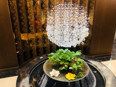 -俏江南(中山路先天下广场店)