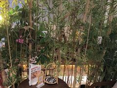 -施奈儿.洗头頭療.按摩SPA.采耳(上梅林店)