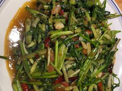 -滇铺子·云南特色菜·第九届野生菌美食节(东风东路c86店)