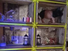 -曲园酒楼(老江东店)