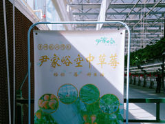 -尹家峪田园综合体