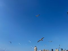 -星海广场