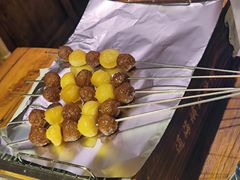 -通海俄式烧烤(下瓦房店)