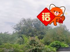 -芦仙山景区-飞越丛林探险乐园