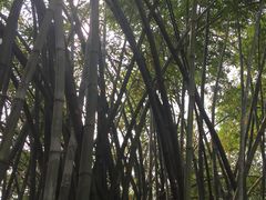 -晓港公园
