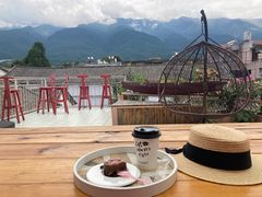 -喵屿·大理花园猫咖