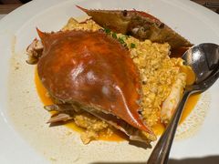 -连鹭海鲜·海肠捞饭·海胆饭(星海店)