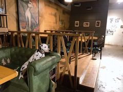-萌喵咖啡屋(人民东路4号口M16商铺店)