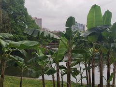-晓港公园