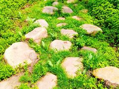 -棋盘山风景区