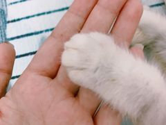 -柳大厨螺蛳粉(人民路总店)