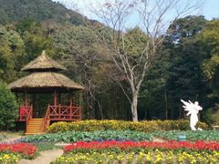 -广州市石门国家森林公园