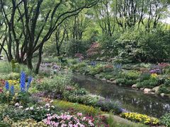 -上海共青森林公园