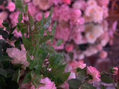 -芭菲盛宴·环球美食(北城国际店)