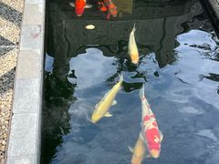 -西安市广仁寺
