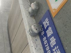 -半岛宠物医院24小时(白果林店)