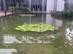 -三亚太阳湾柏悦酒店