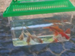 -融汇温泉