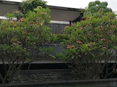 -明谷行馆·温泉