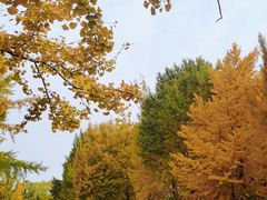-玲珑塔公园