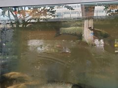 -老街烧烤大排档·地道湖北菜·龙虾馆(汉口火车站店)