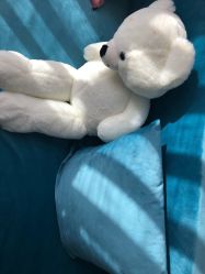 -归真美学颜究中心