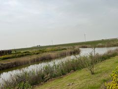 -启东黄金海滩景区