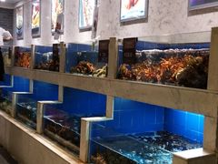 水产区-徐记海鲜(陕西历史博物馆|明德门店)