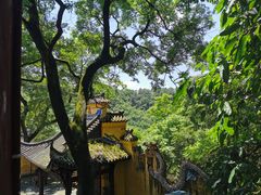 -涂山寺素食餐厅