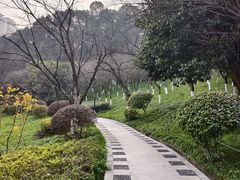 -龙头寺公园
