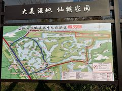 -盐城丹顶鹤湿地生态旅游区
