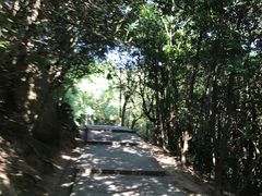 -普陀山风景名胜区-法雨禅寺