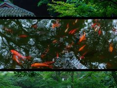 -虎跑公园
