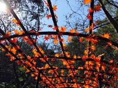 -溪口-滕头旅游景区