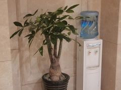 -花湖会所·高端水疗商务泡浴SPA(高新店)