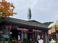 -道乐烧肉酒馆