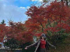 -四明山国家森林公园
