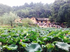 -韶山毛泽东同志故居