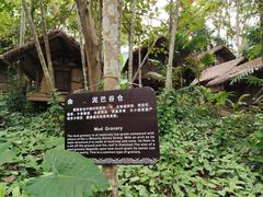 -海南槟榔谷黎苗文化旅游区
