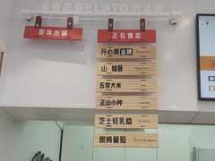 -野人先生现做冰淇淋(西安赛格店)