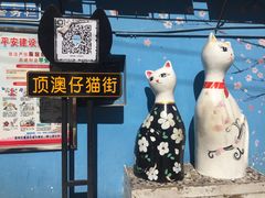 -猫咪博物馆(顶澳仔猫街店)