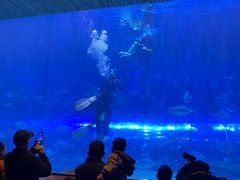 -华夏文旅海洋公园