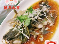 -骏莱海鲜鱼港(五角场店)