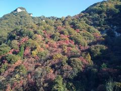 -少华山国家森林公园