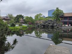 -顺峰山公园