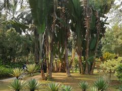 -中国科学院西双版纳热带植物园