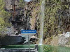-石家庄市植物园